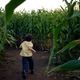 Image for article titled Let's all go to Indiana and get lost forever in this Stranger Things corn maze